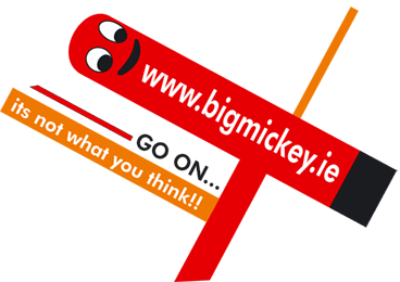 BigMickey.ie